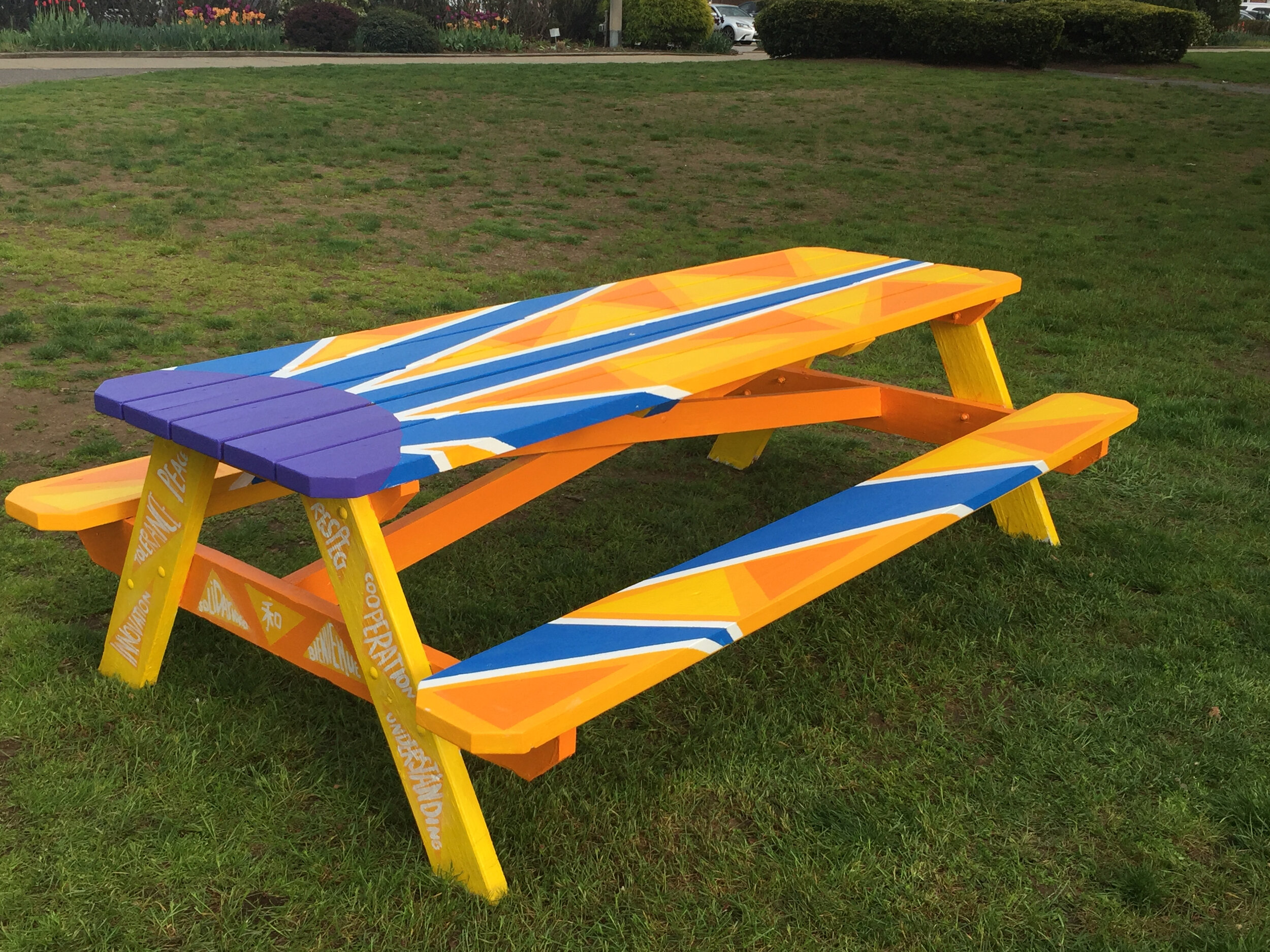 Painted Picnic Tables