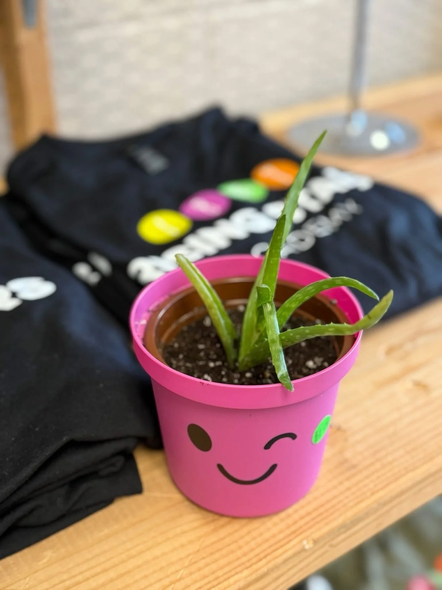 Spring is coming and our students are getting things growing! 🌱

Students in the Community Service elective are transplanting plants from our Hydroponics Room into pots to sell in the school store &mdash; learning plant care, preparing products for 