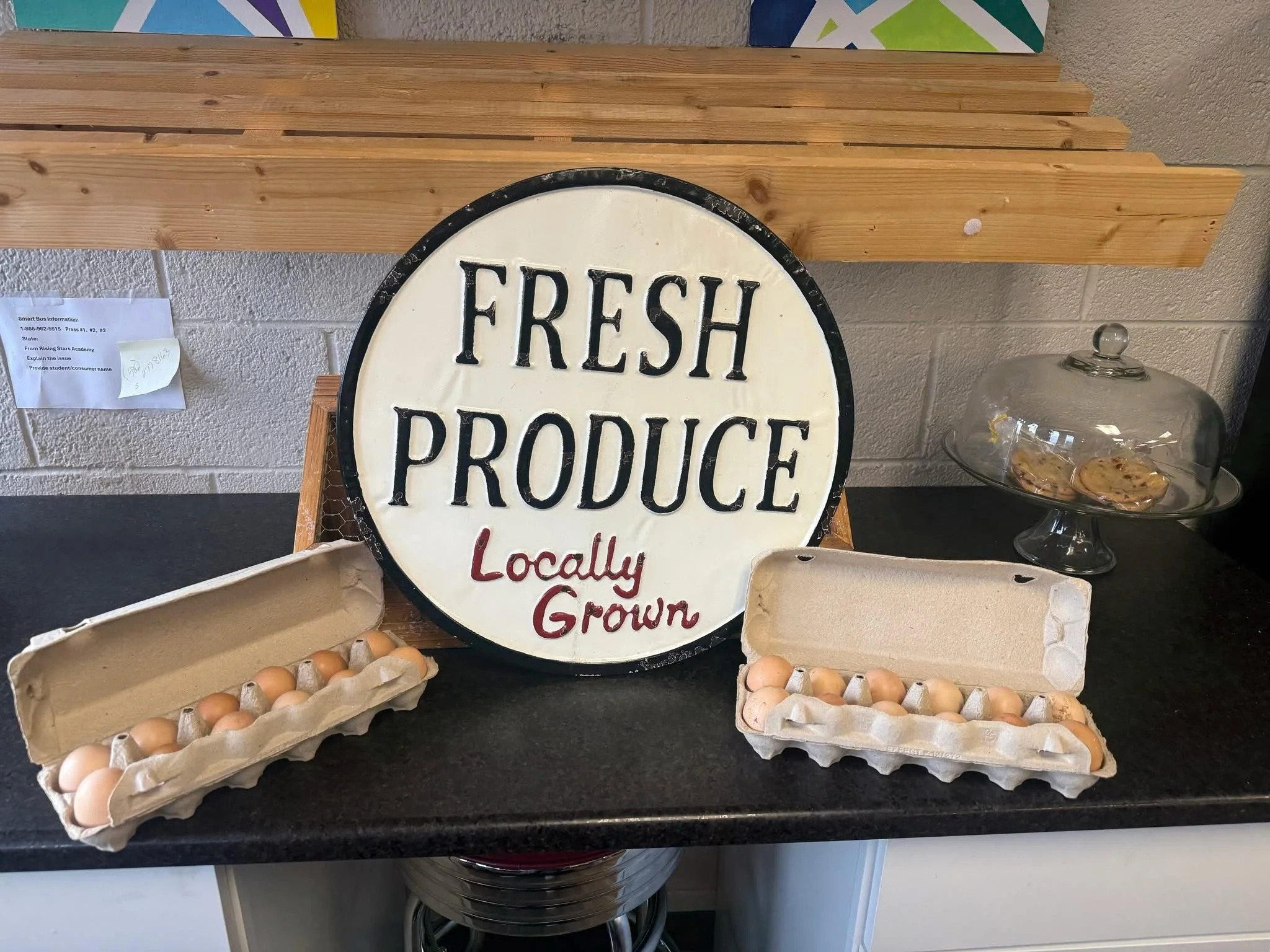 🥚 Fresh Eggs Now Available at the Four Circles Store! 🥚

Farm-fresh eggs are back and available for just $5/dozen 🐓✨

Support our amazing students at Rising Stars Academy while stocking up on fresh local eggs 💛

📍 Available at the Four Circles S