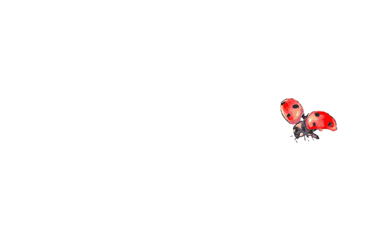 Than bring it into Photoshop to create the gif