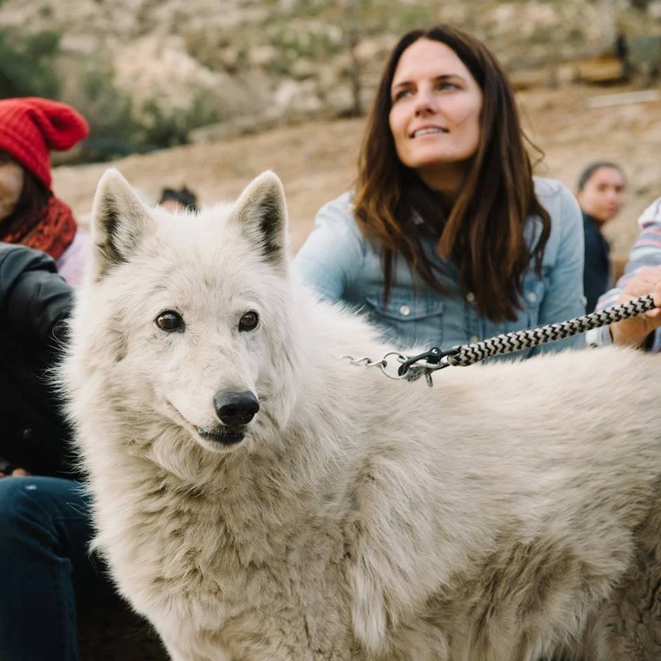 Documentary Double Feature: Wolf Spirit & Mother Daughter Earth