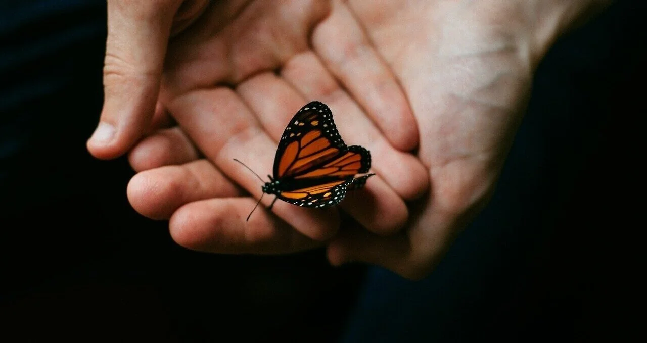 person-2607255_1280.jpg