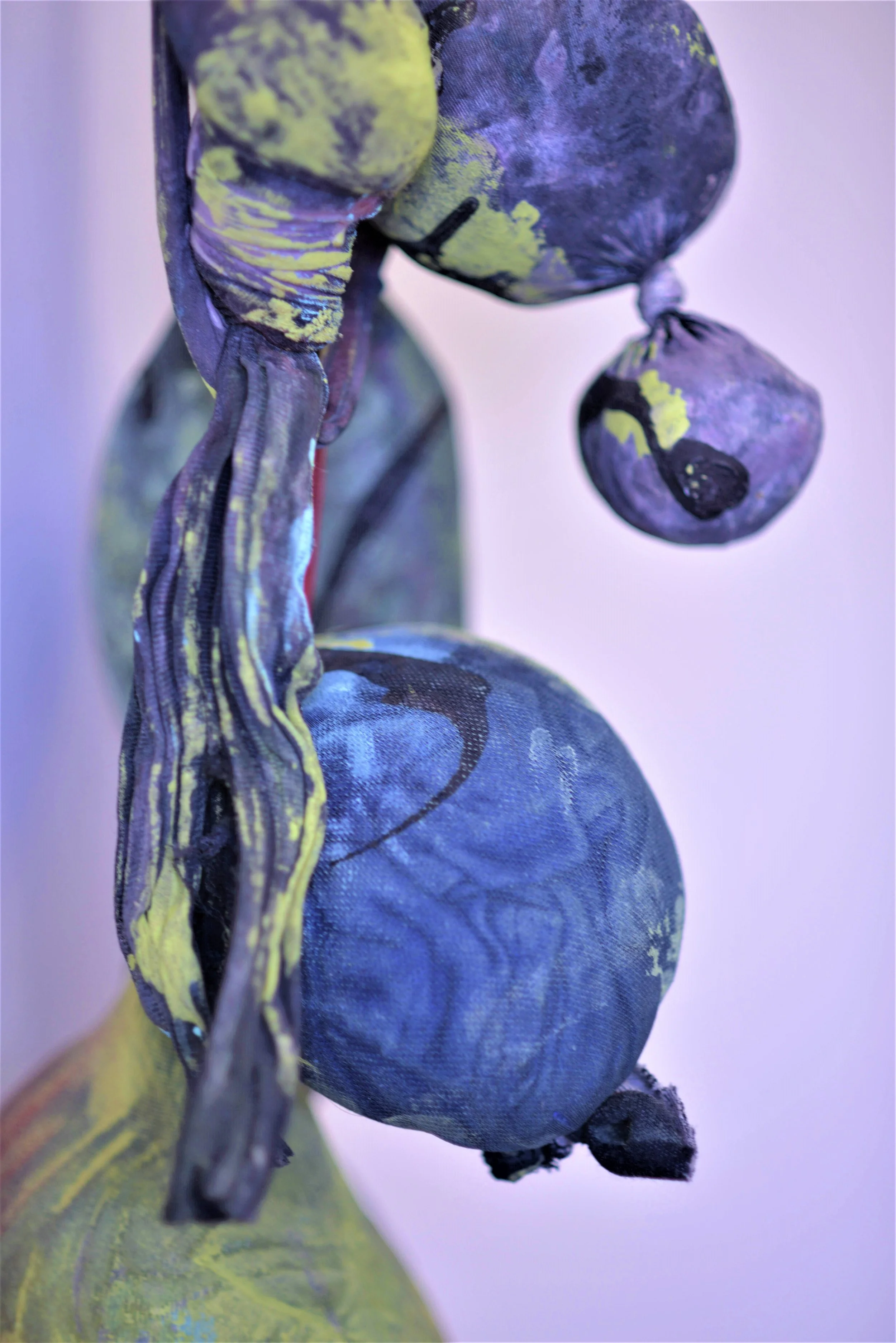 Michelle Phillips .jpg