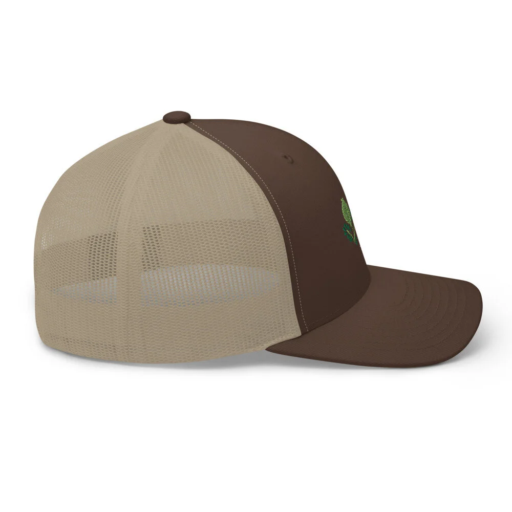 Side of Brown and Tan Cap