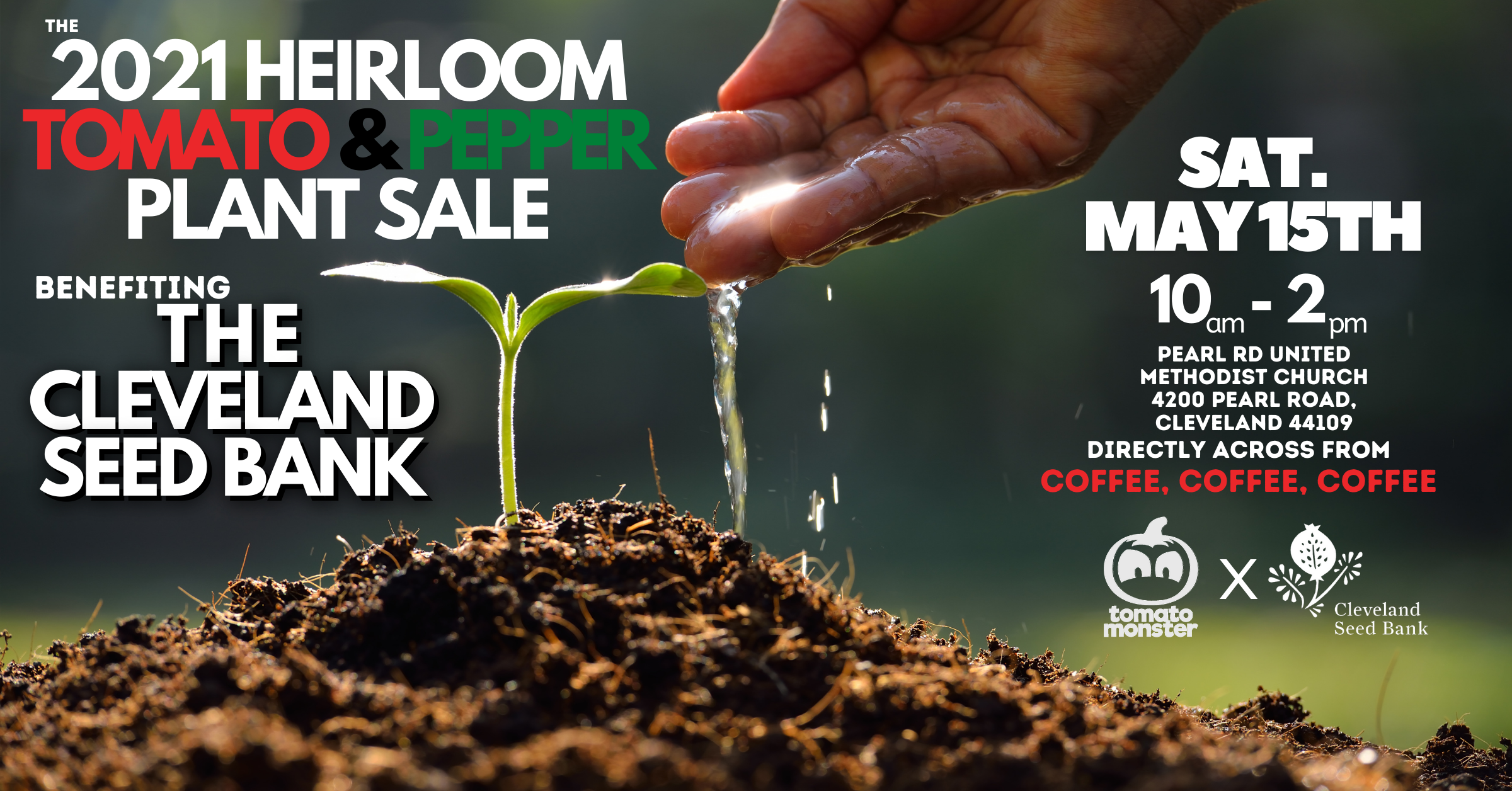 Spring Plant Sale w/ Tomato Monster Heirlooms!