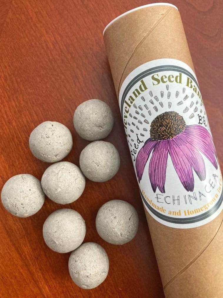 Seed Balls — Shop for Seeds and Plants
