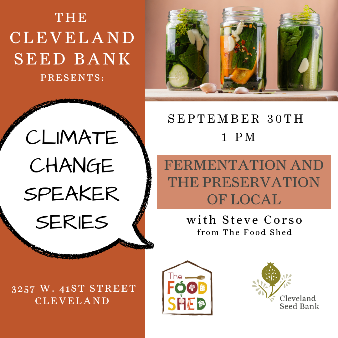 Fermentation and the Preservation of Local