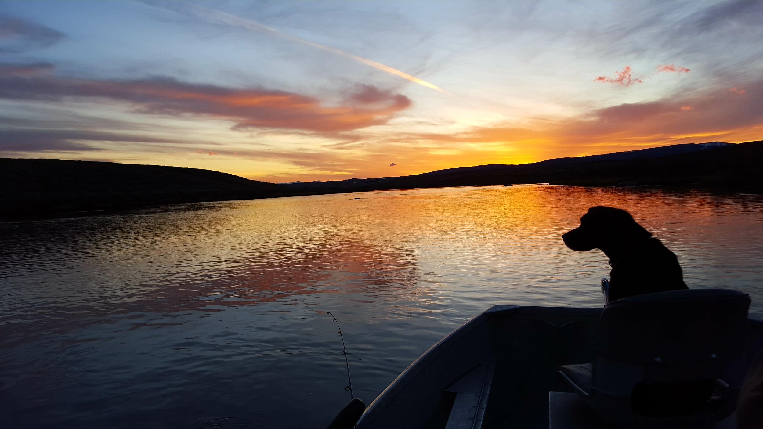  Mookie the fishing dog enjoying a nice sunset. 