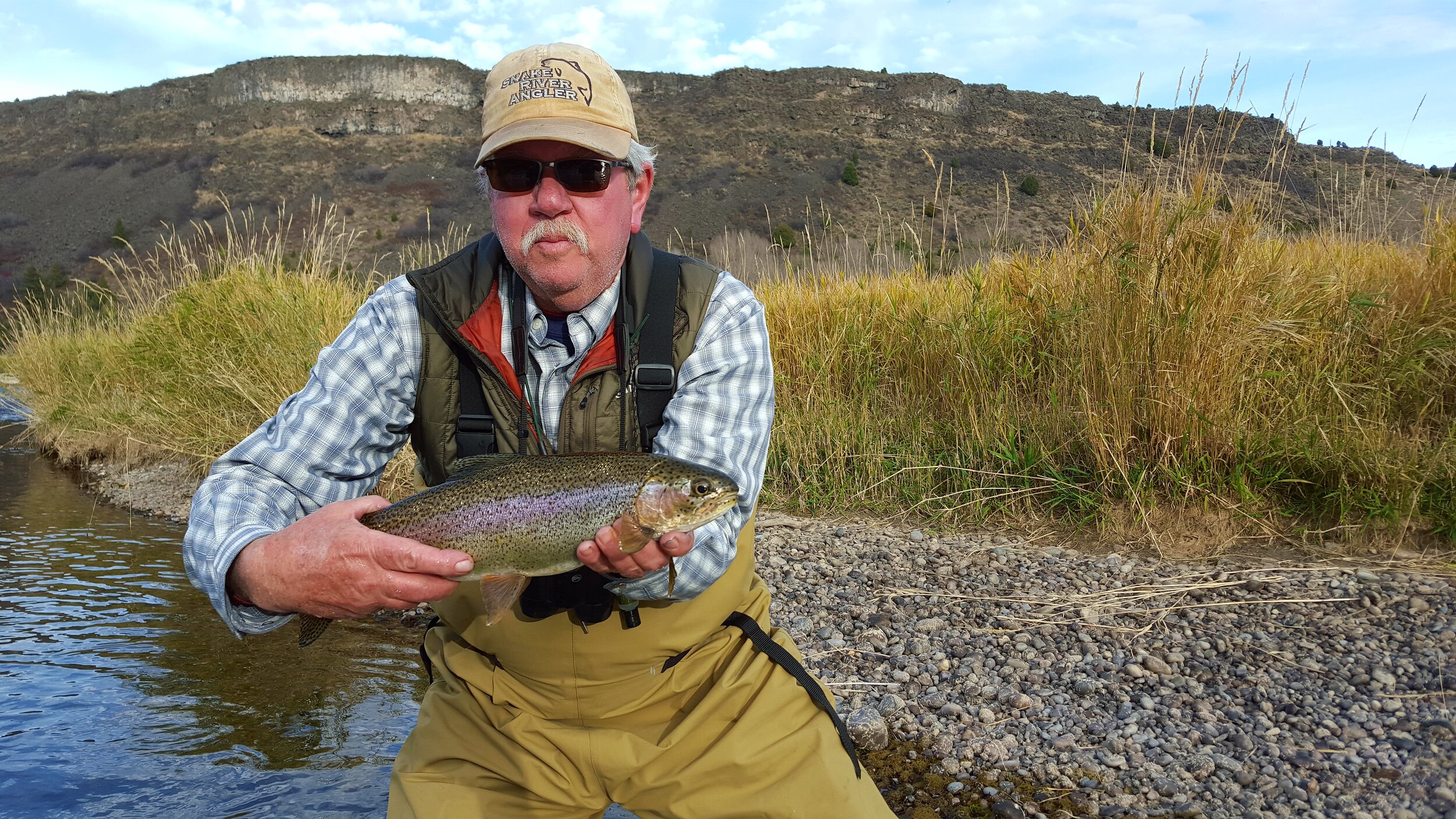  A chunky rainbow trout. 
