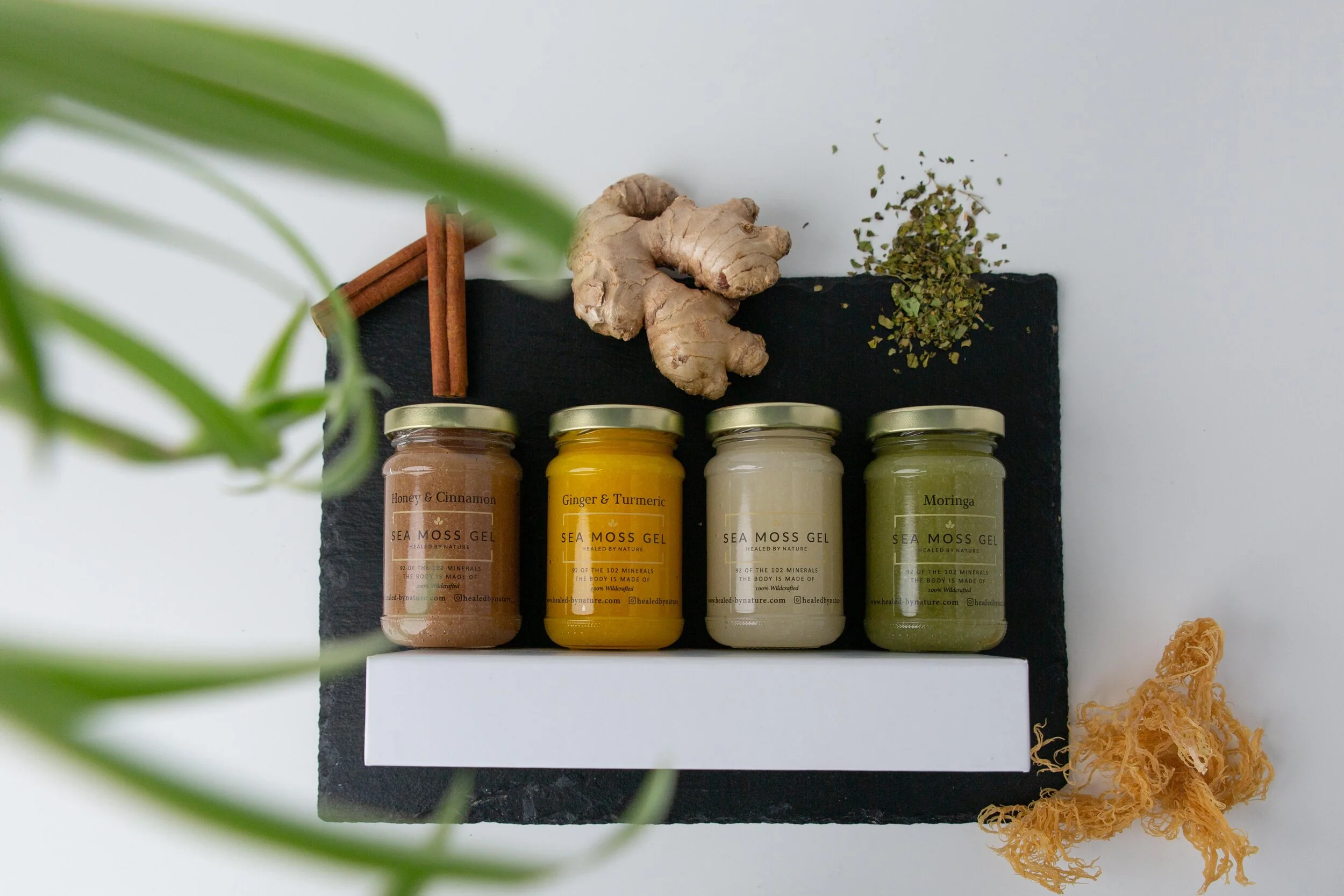 seamoss gel product photography 4.jpg