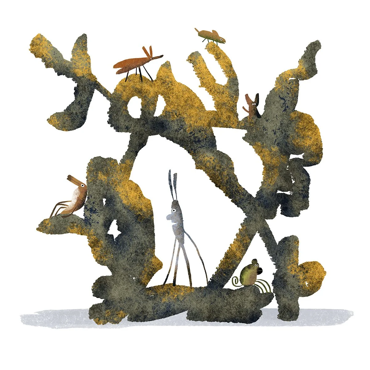 Self Directed Projects — Michael Slack | Illustration and Art
