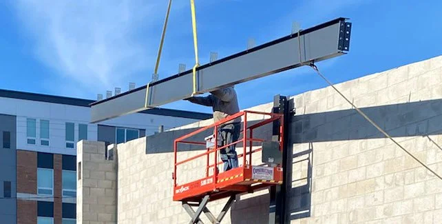 Everwild Progress Update