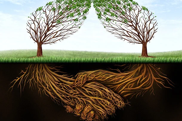 Lane Ends, Merge Right