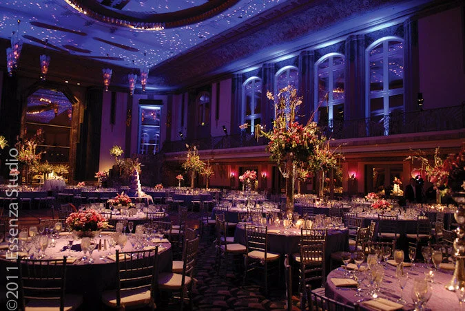 Brigid Horne-Nestor, MBC™