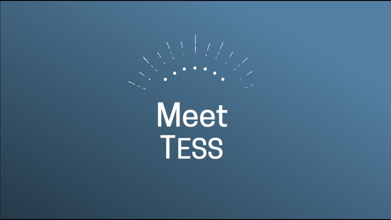 TESS Travel eSolutions