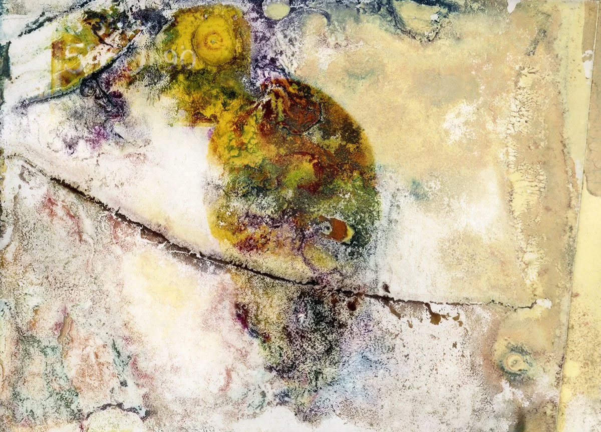 La Vern Nelson 90-3888. Archival Pigment Prints on Canson Platine Fiber Rag. 43.2" x 60" Edition of 3 + 1 Artist Proof.