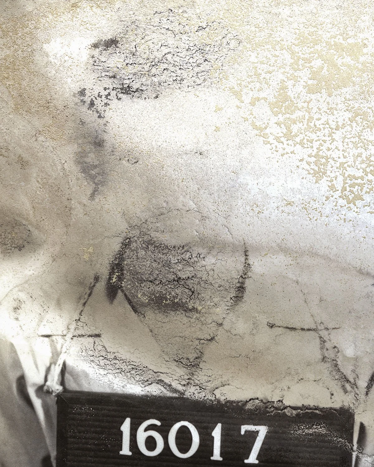 Ruined Polaroid #16017. Archival Pigment on Silk, 40" x 32" Edition of 1 + 1 Artist Proof