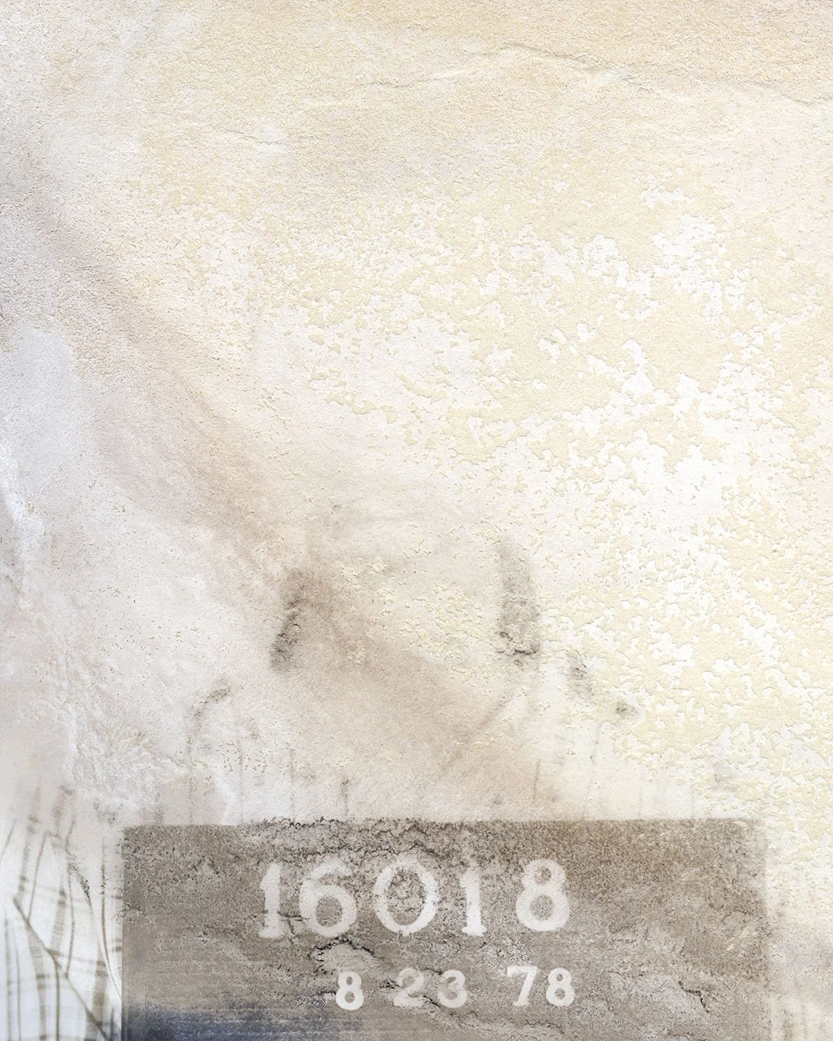 Ruined Polaroid #16018. Archival Pigment on Silk, 40" x 32" Edition of 1 + 1 Artist Proof