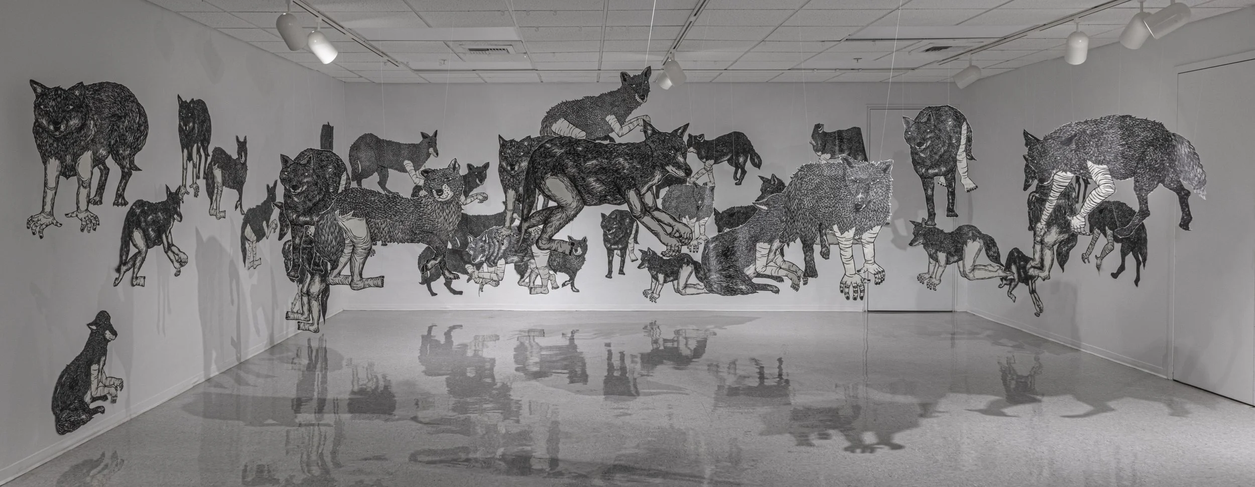 Primal Urges: Coyotes by Eunkang Koh