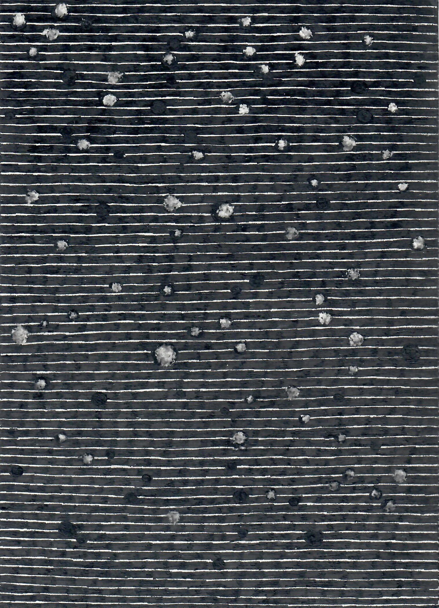 323449425_423041896621779_220116604748733000_n copy.jpg