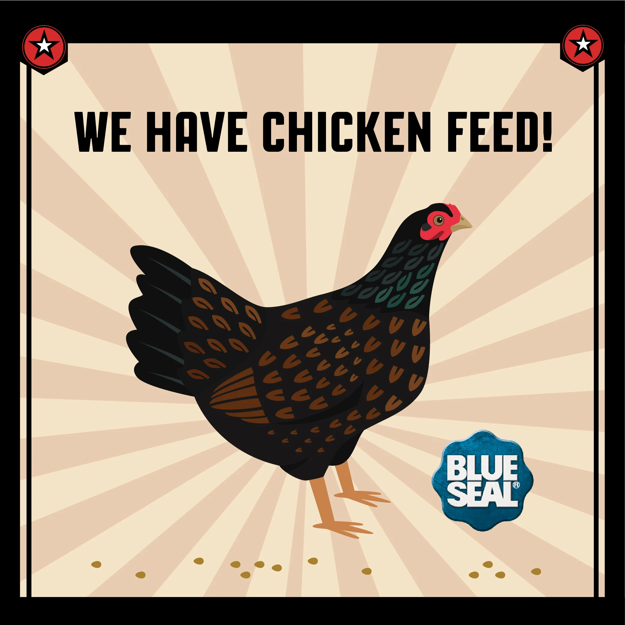 What's New: We now carry chicken feed!