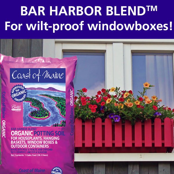 Bar Harbor Blend is Coast of Maine's organically approved, all-purpose potting soil. It is a rich, dark brown and full bodied, designed for re-potting house plants, planting hanging baskets, window boxes and all containers. Bar Harbor Blend is made w