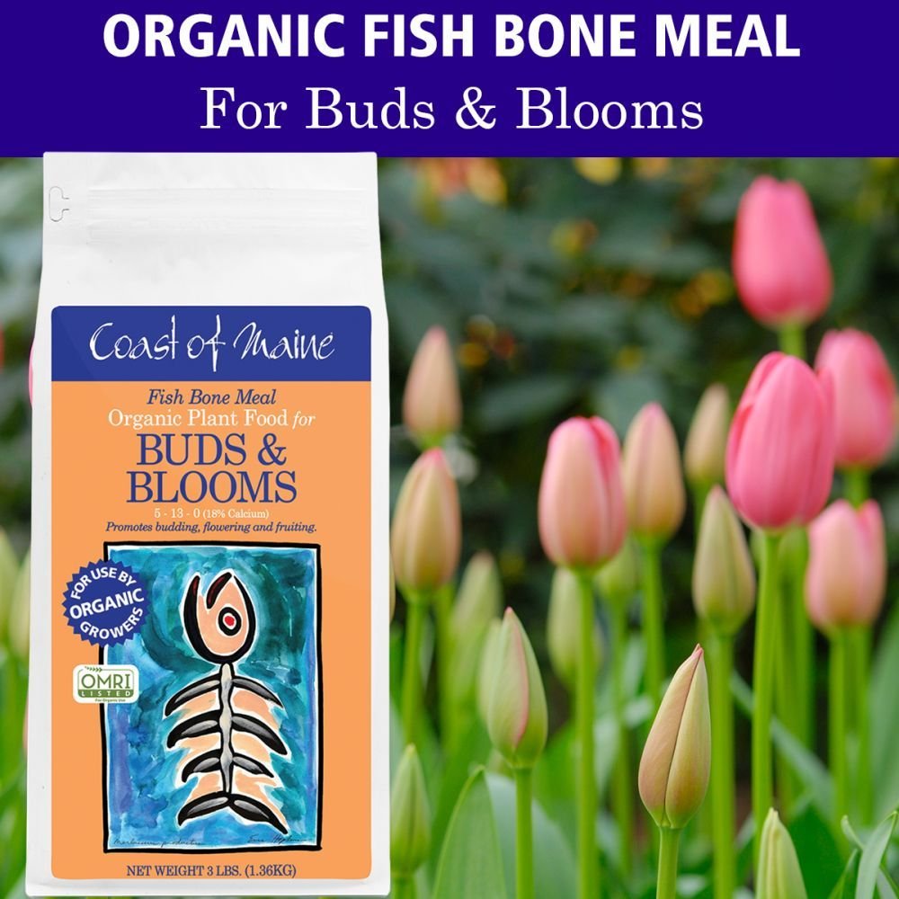 OMRI listed, Fish Bone Meal Organic Plant Food is very high in phosphorous, which makes it ideal for amending planting holes because it initiates strong root growth and helps to lessen transplant shock. Phosphorous also promotes more budding and can 