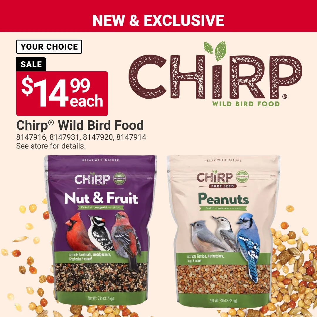 Welcome more birds to your backyard with Chirp&reg; Wild Bird Food. 🐦 Delivering quality ingredients and specialized blends to help attract your favorite feathered visitors. Sale valid through 9/30/26. #MaineHardware #AceHardware