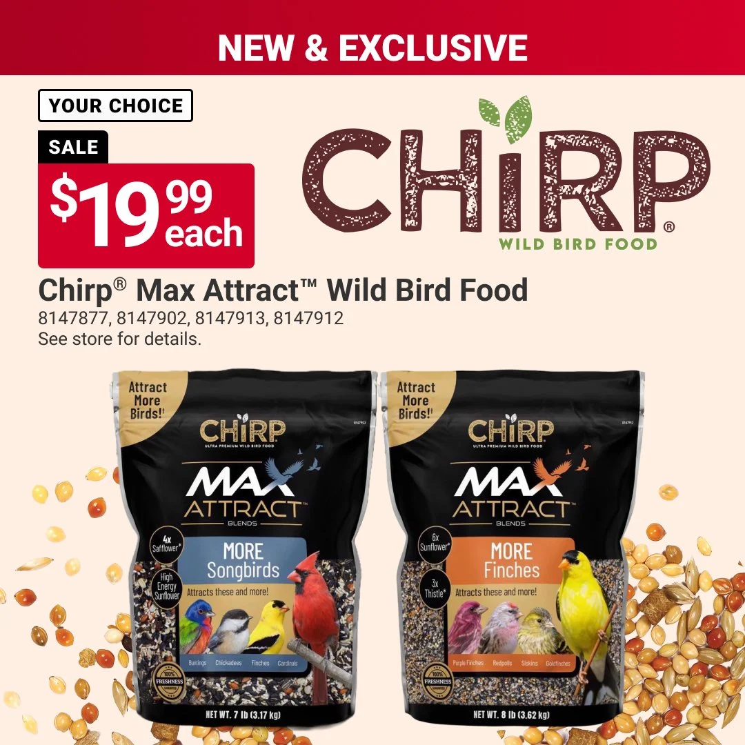 Attract more feathered visitors with Chirp&reg; Max Attract&trade; Wild Bird Food. 🐦 Delivering specially formulated seed blends designed to help bring a variety of birds to your backyard. Offer valid through 10/31/26. #MaineHardware #AceHardware #M