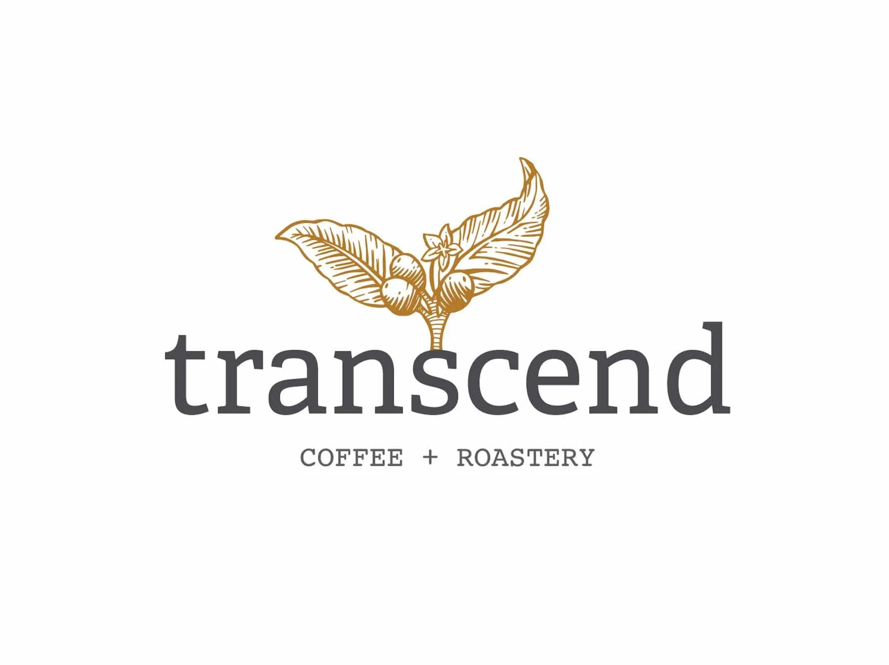 Transcend Coffee