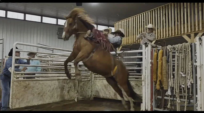 Born to Move: Sam Kelts