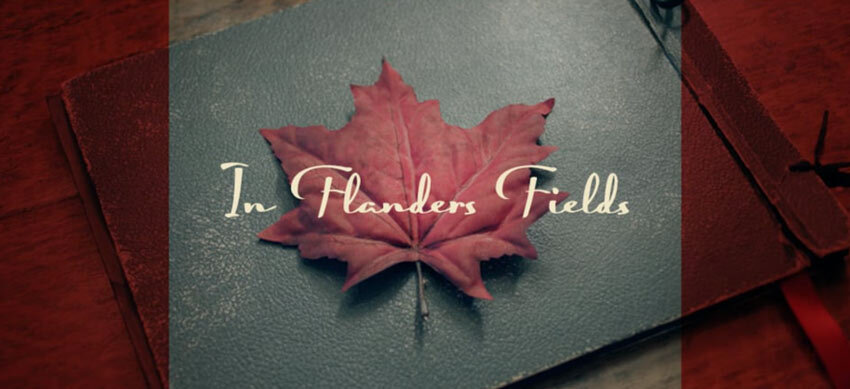 In Flanders Fields