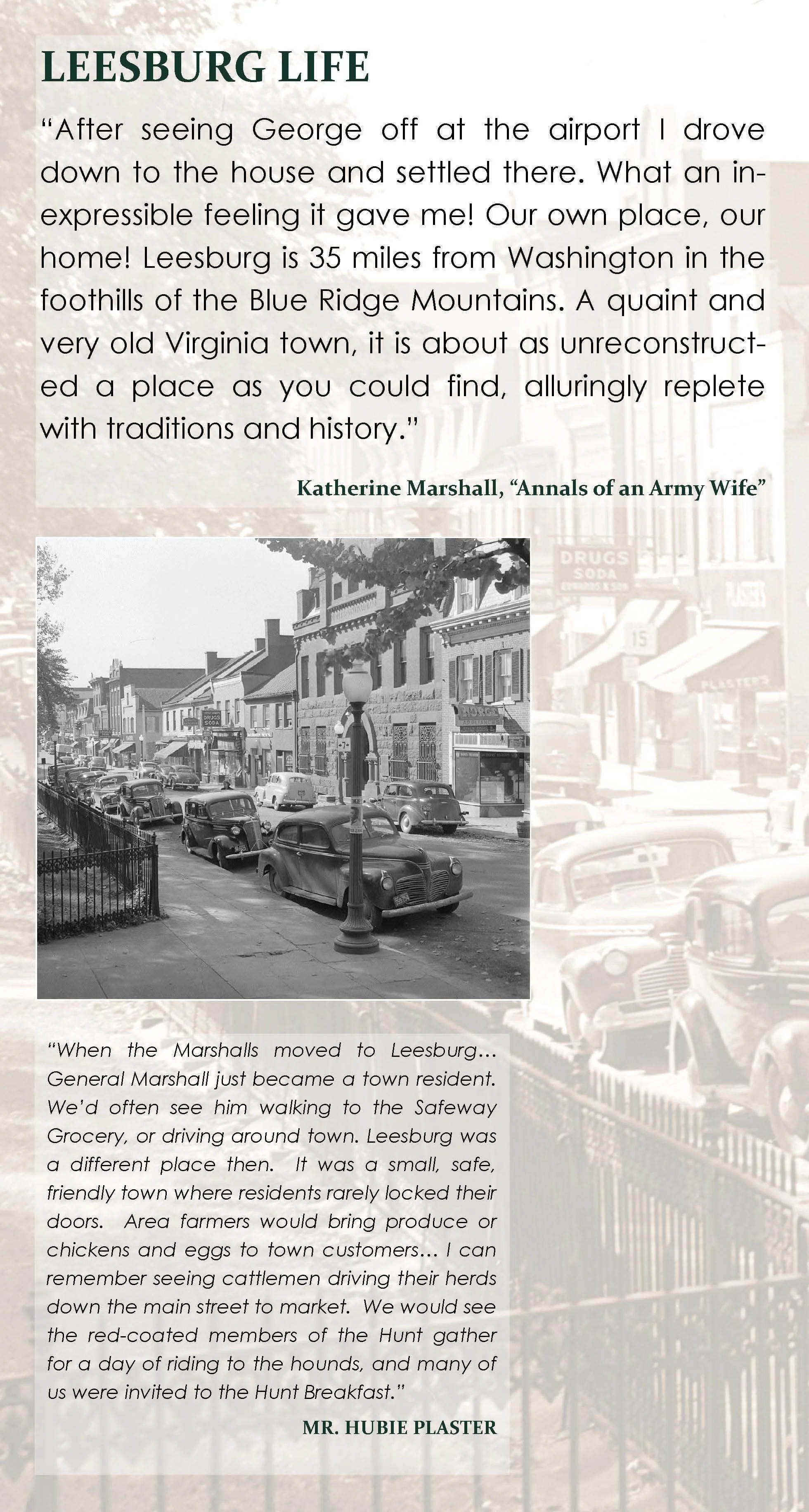 LREM Images_Page_05.jpg