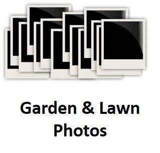 Garden & Lawn Title.jpg