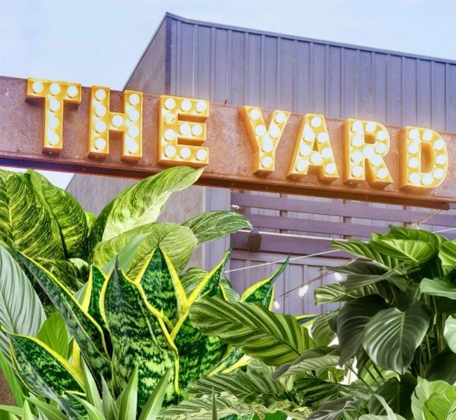 the yard is open