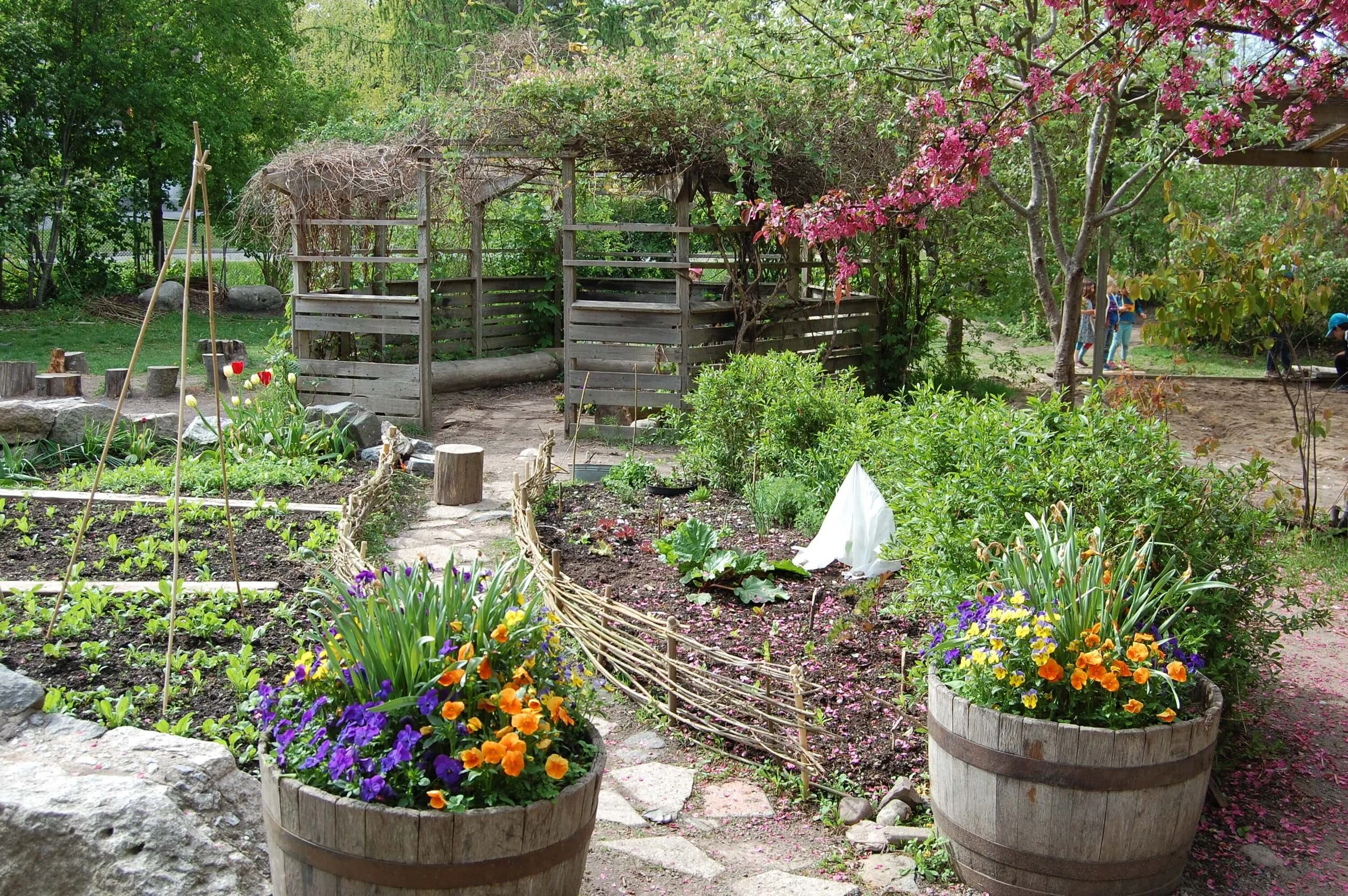 Trädgården sommartid