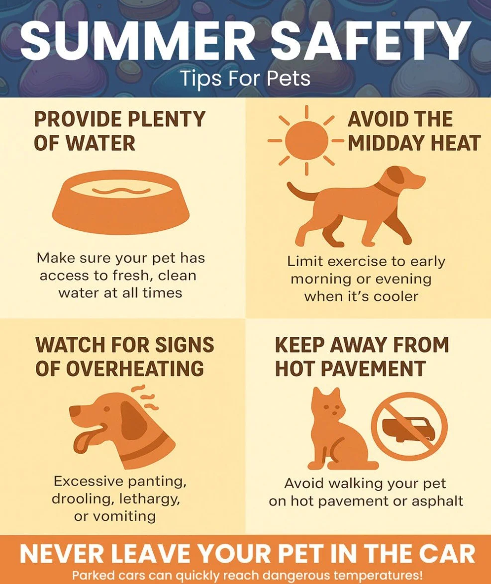 Summer Pet Safety Tips — HART For Animals