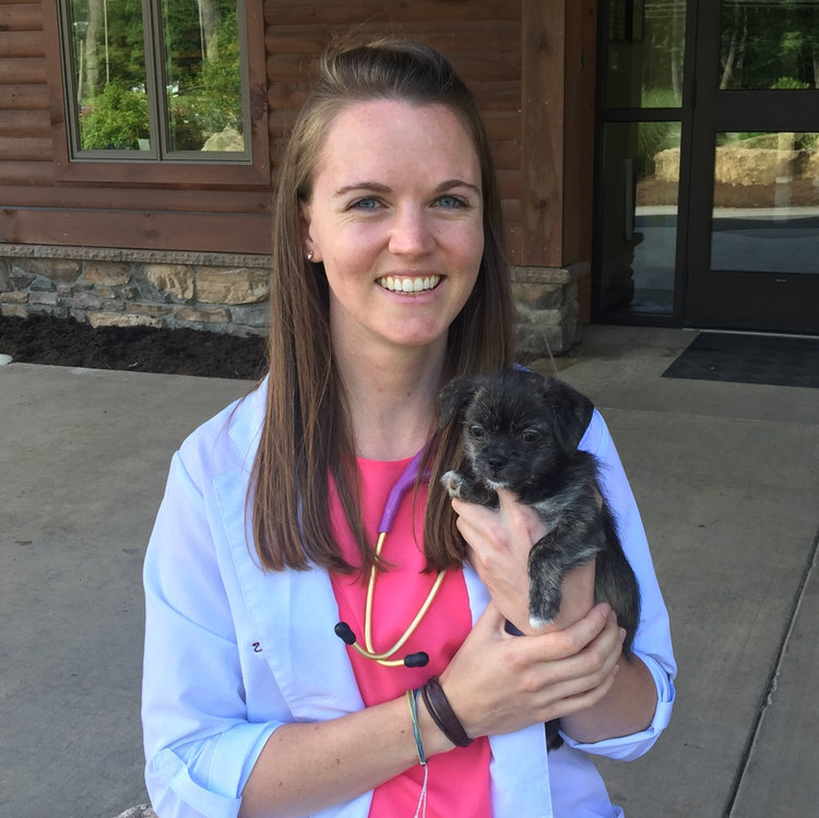 HART Announces Appointment of Dr. Katlyn Weimer, DVM — HART For Animals