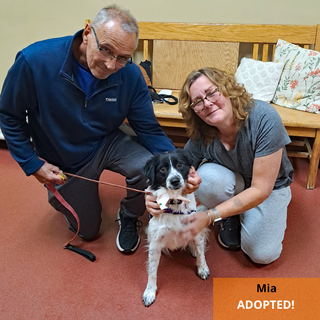 Majestic Mia’s Second Chance
