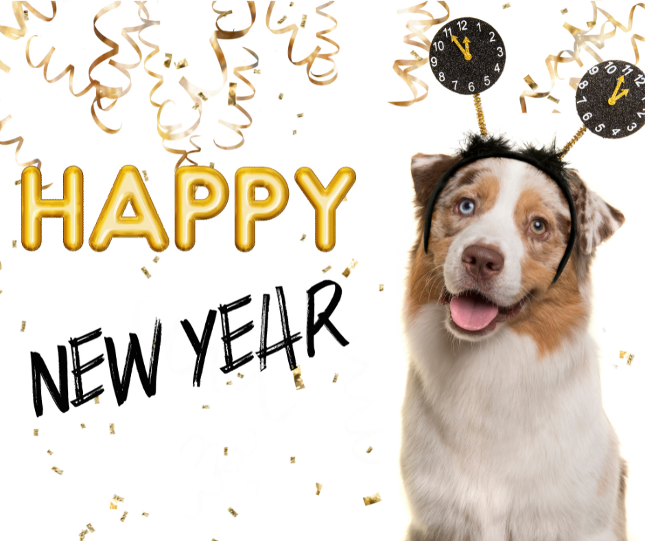 Ring in the New Year with These Pet Safety Tips! 