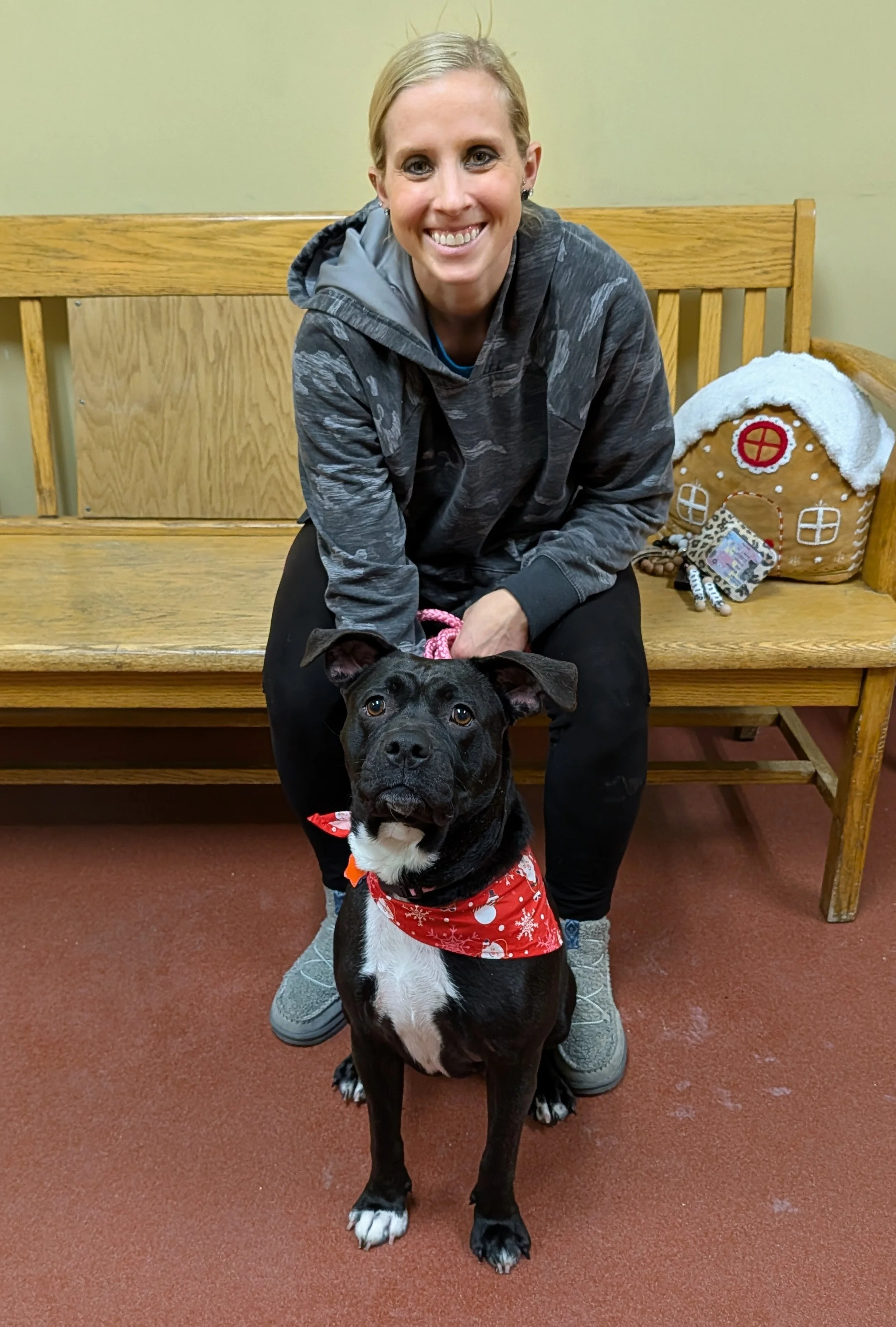 Wonderful Wednesday’s New Life!