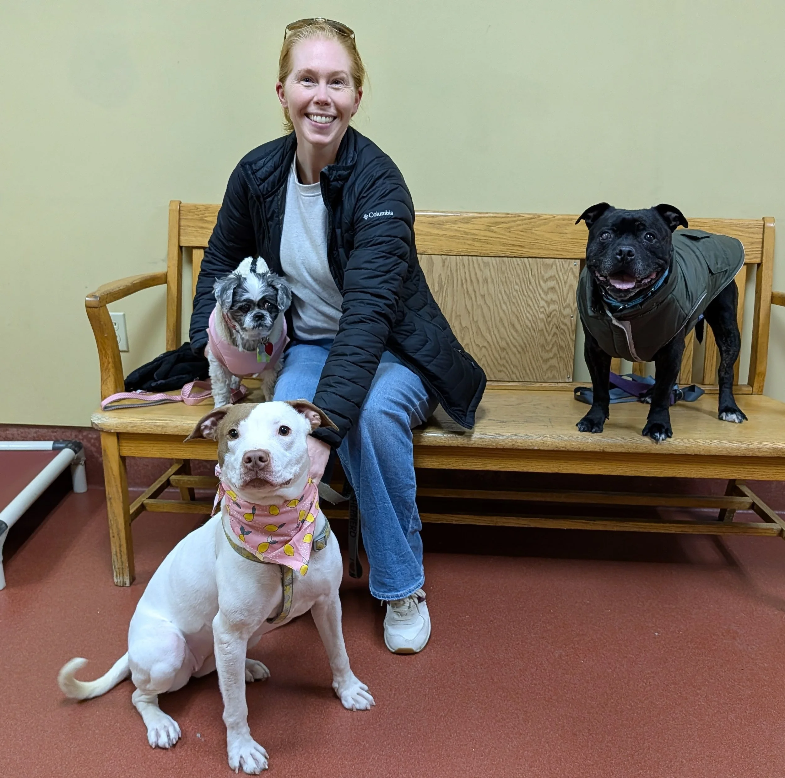 A Sweet Life for Sweet Potato! 