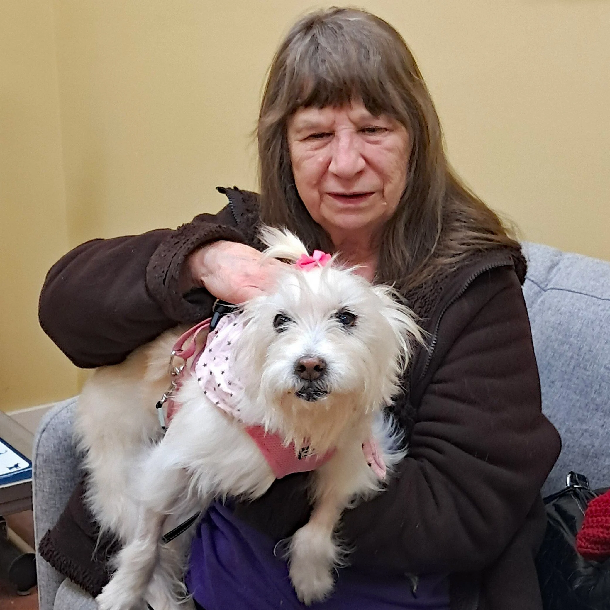 Mopsie’s New Hope!