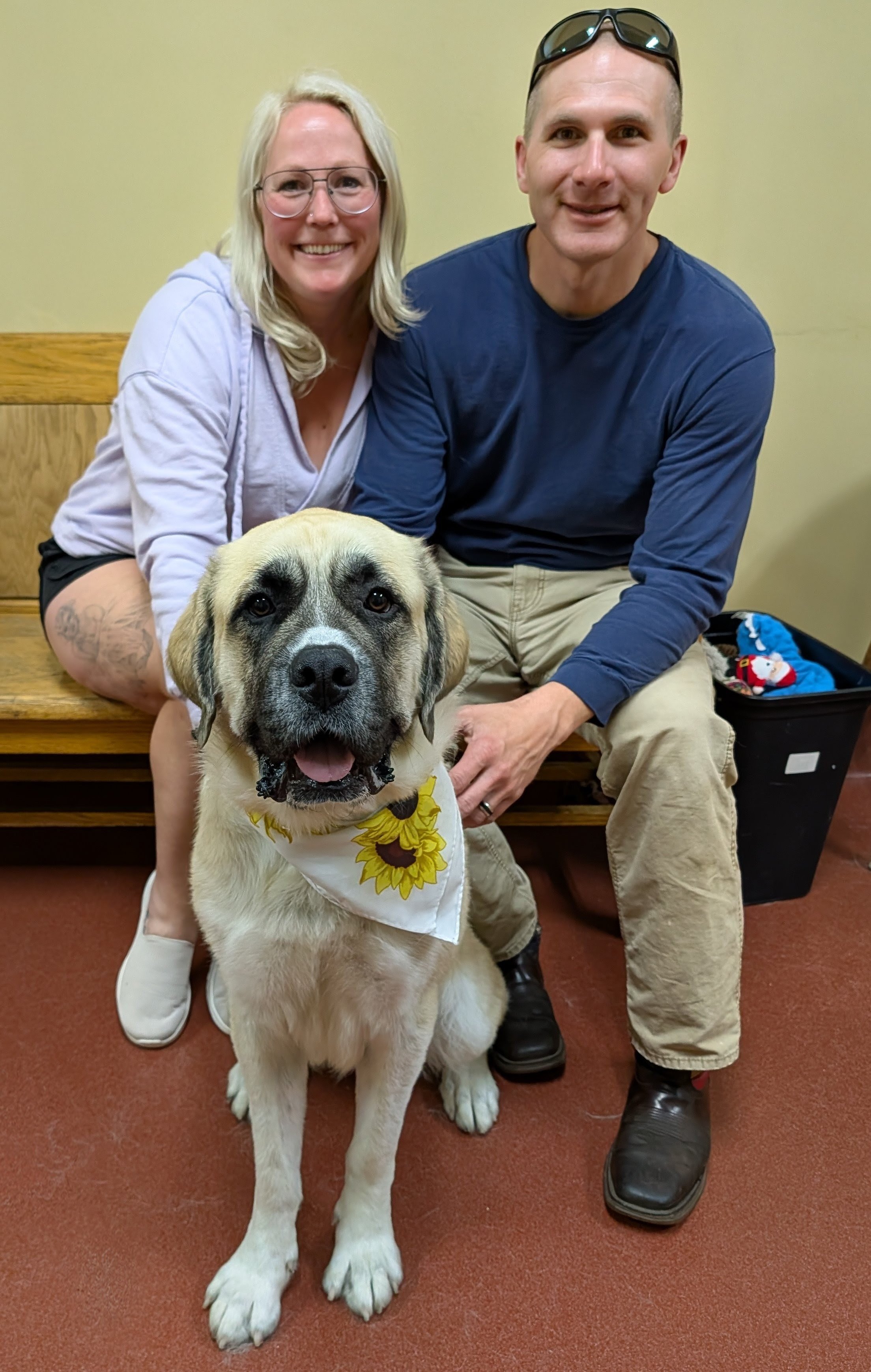 Terrific Tonka Finds Her Forever Home