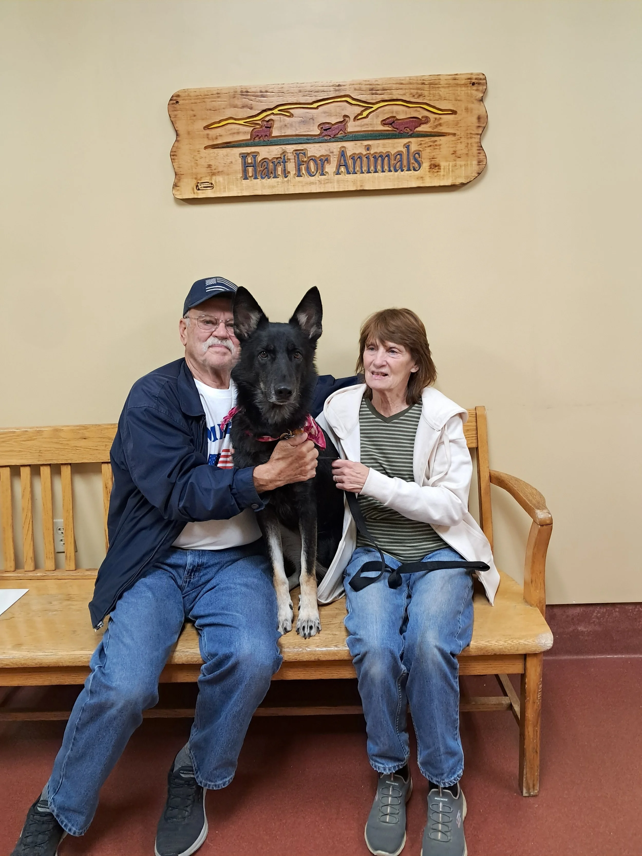 Nyx’s Happy Tail: A Second Chance Filled with Love