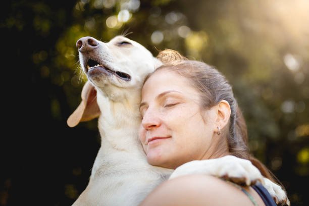 National Lost Pet Prevention Month: 6 Tips to Keep Your Pets Safe This Summer