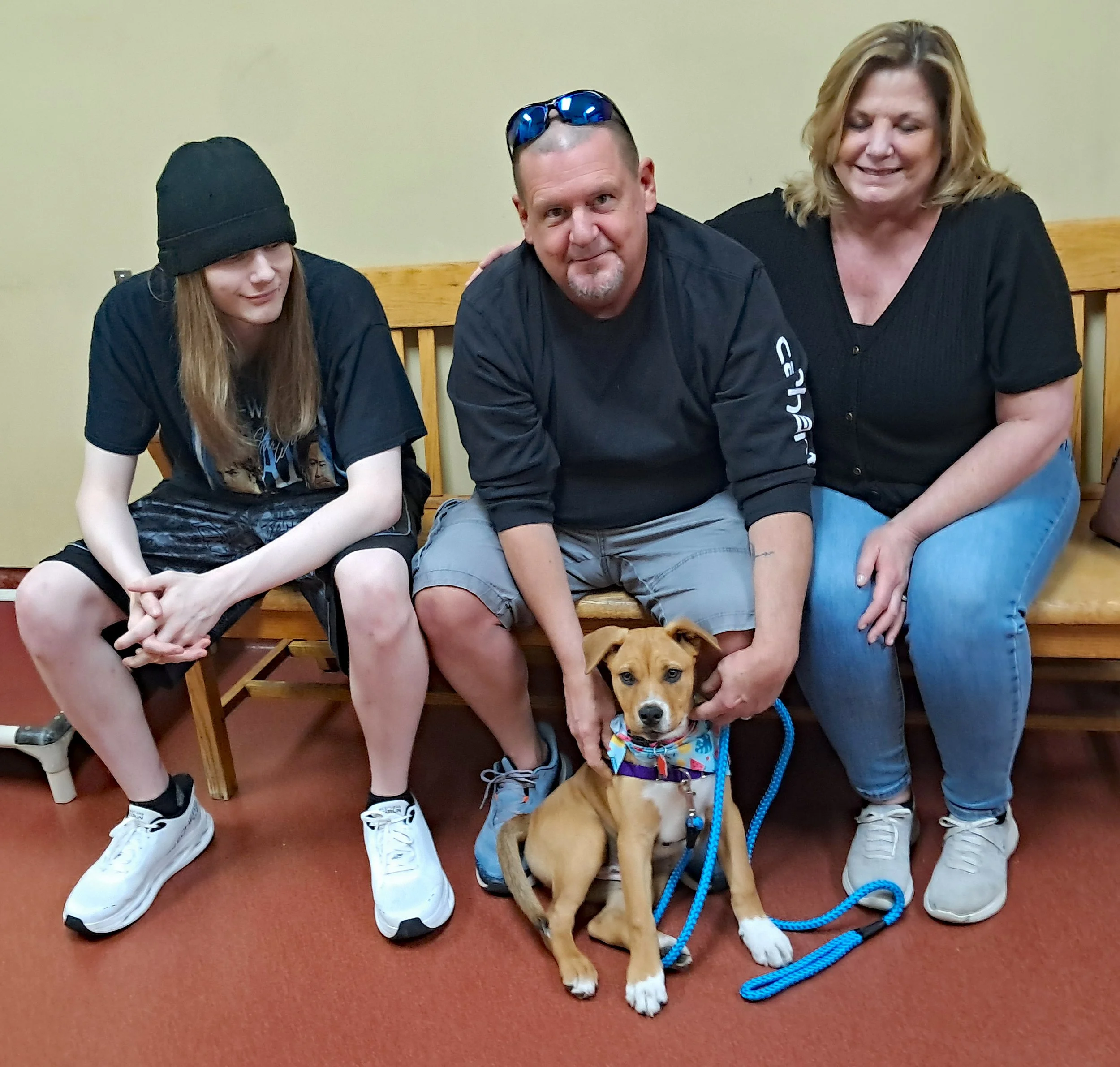 From Homeless Puppy to Happy Home: Sage's Story