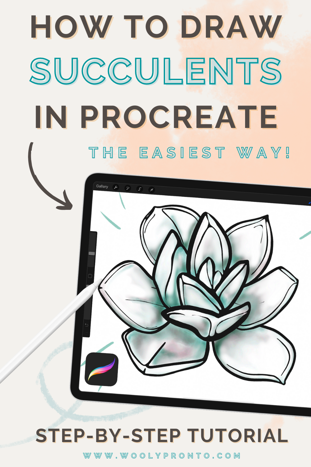 How To Draw Succulents Step By Step