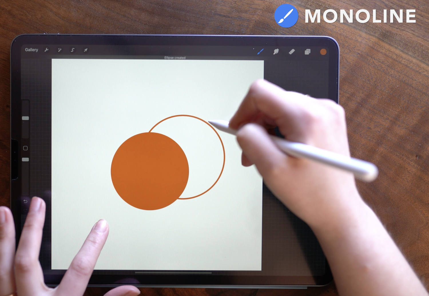 How to use Texture Brushes in Procreate — wooly pronto