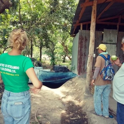 Volunteer Point of View on The Clean Water and Environment Program